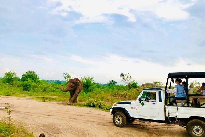 Private Udawalawe Nationalpark Jeep-Safari - Photo 1 of 8